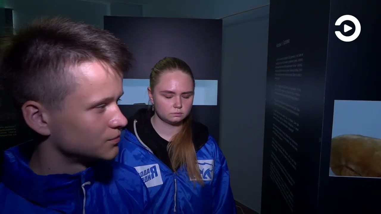 Выставка «Донбасс - Пенза: из войны в мир» смотреть онлайн