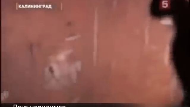 Леха ты где? смотреть онлайн