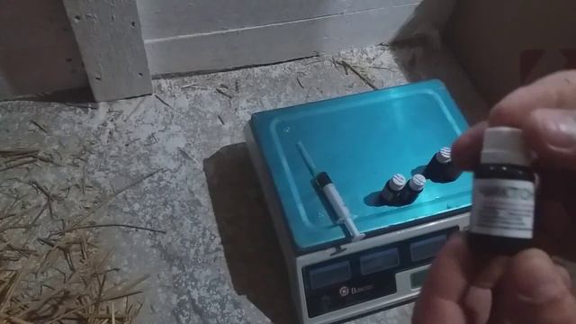Вирощуємо бройлера кобб 500 з чого ми починаємо? 🐣🐣🐣 Які перші результати та перші прирости? смотреть онлайн