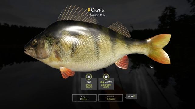 Русская Рыбалка 4 - Трофейные Окунь и Ёрш на озере Комариное смотреть онлайн