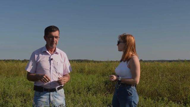 Все про люцерну смотреть онлайн