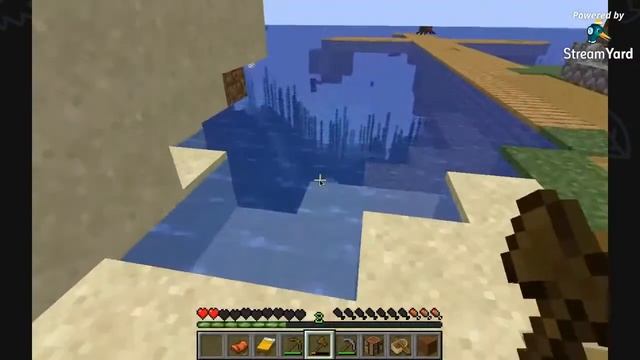 Playing Minecraft Java edition with Viewers смотреть онлайн