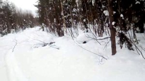 Капканы на зайца