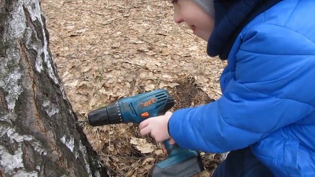 Поход за березовым соком. смотреть онлайн