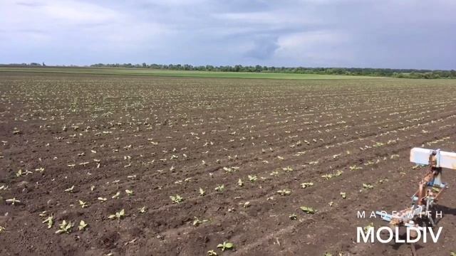 МТЗ 892 Междурядный культиватор КРН5.6 смотреть онлайн