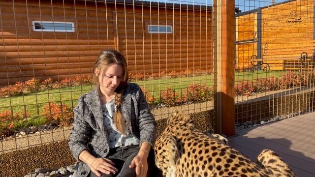 Гепард Герда разлила чай на Машу! смотреть онлайн