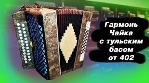 Гармонь Чайка с тульским басом от 402