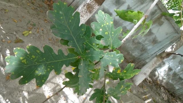 2023 белгородская область сентябрь смотреть онлайн