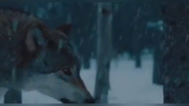 Пусть наконецтовэтом мире закончится плохие вещи и пусть все люди и животные будут добрые счастливы смотреть онлайн