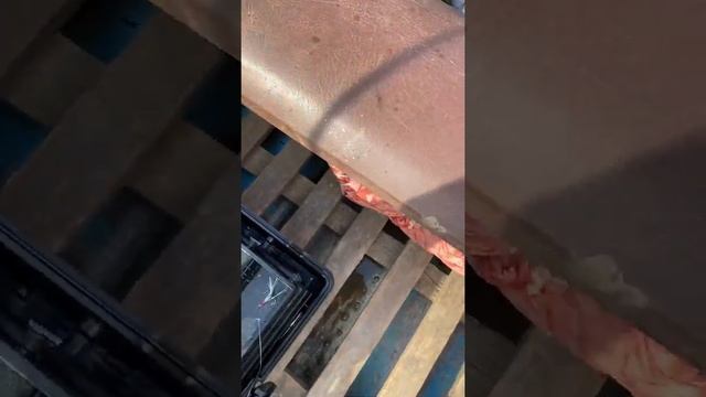 Русская рыбалка!!!Старая Волга!!!Сомик на троллинг взял на бандита смотреть онлайн