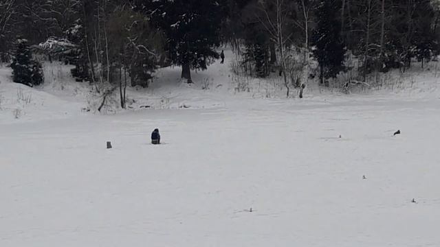 3 января 2022 г.//Горка//Прогулка//Легкий мороз///АТМОСФЕРА// смотреть онлайн