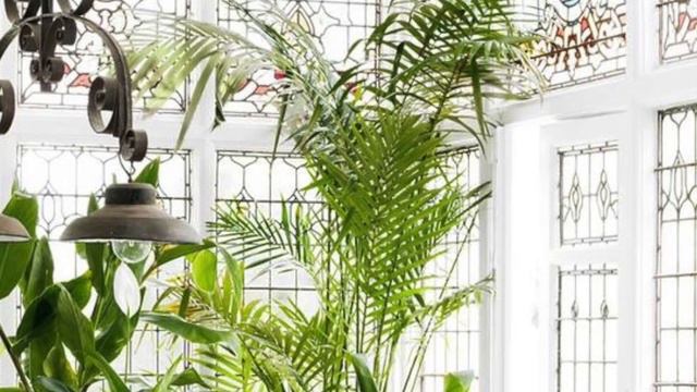 Decoración con PLANTAS 🌵Y FLORES 🌻de INTERIOR. Como lo hacen los MEJORES decoradores. смотреть онлайн