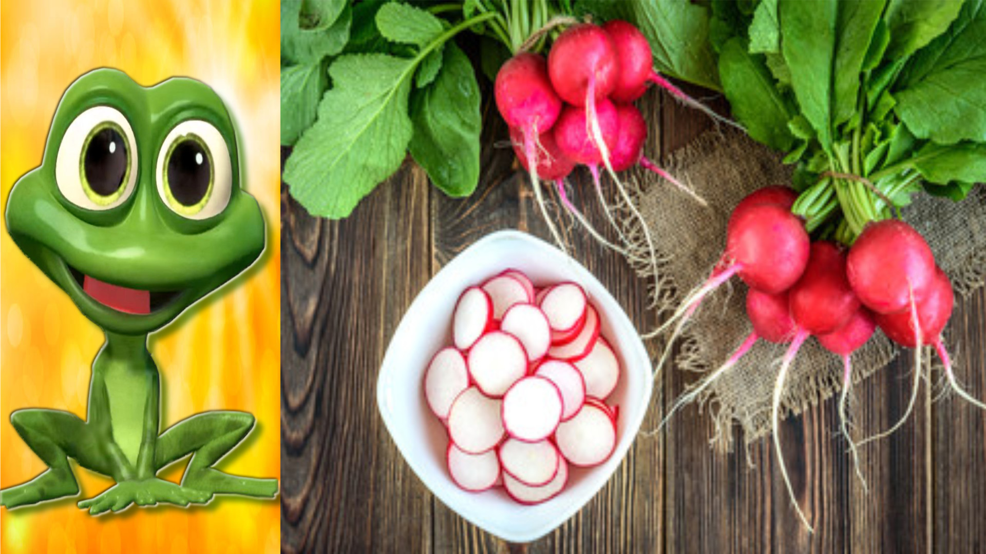 Высаживаем в грунт шикарные сорта редиса.