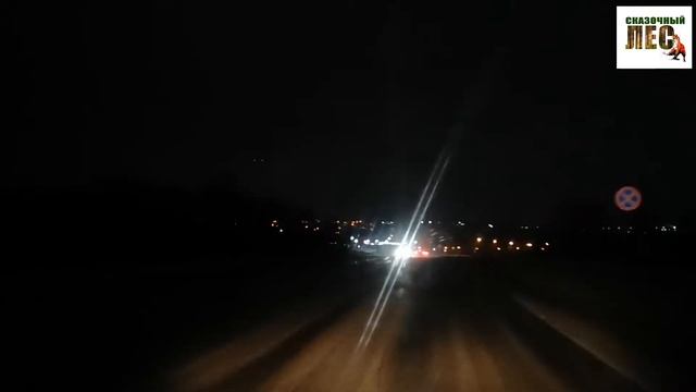 VLOG с Новым годом/моё 31 декабря/СКАЗОЧНЫЙ ЛЕС смотреть онлайн