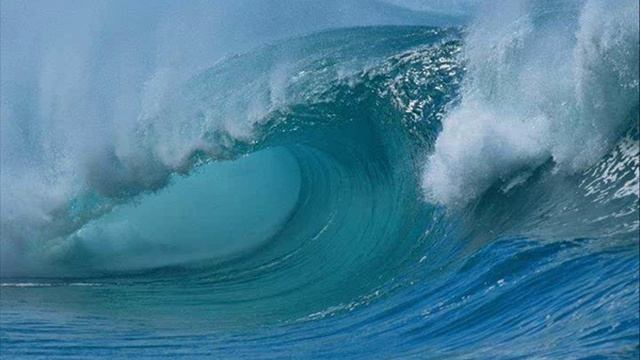 Серёжа В.Толкунова..wmv