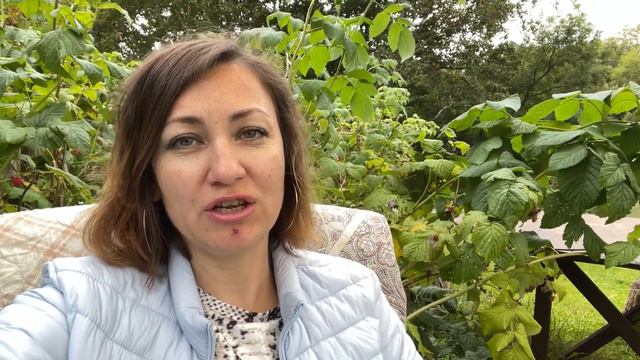 Нужен ли предпринимателю бухгалтер? смотреть онлайн