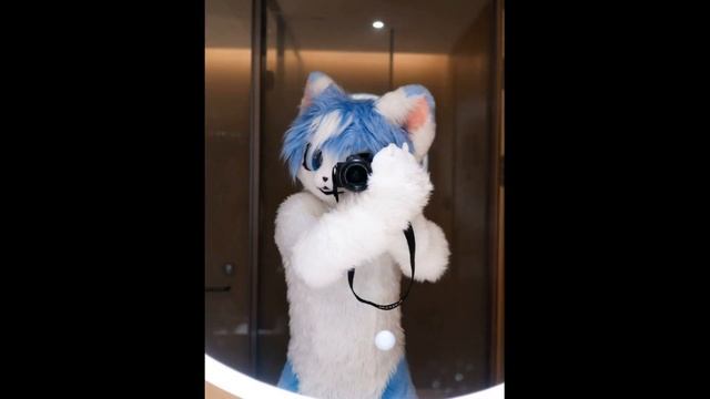 Понедельничный винегрет фото и картинок