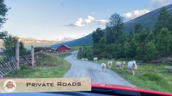 Norway: Complete Travel Guide - Toll Roads & Ferries
