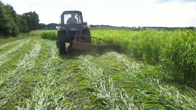 косим сено смотреть онлайн