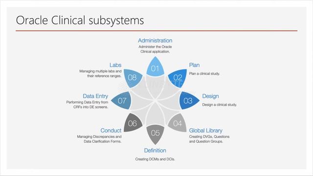 Oracle Clinical Overview смотреть онлайн