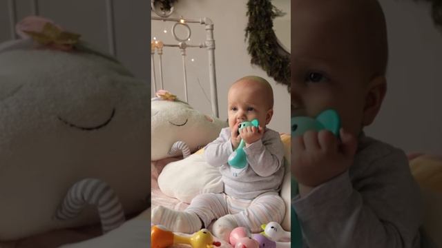 Погремушка Hola 3134 животные смотреть онлайн