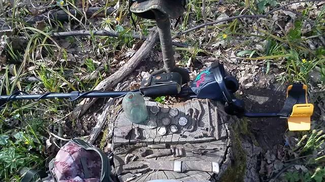 Весенний коп 2020. Очередной выход. MD6250 (ACE250)