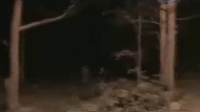 Снежный человек похищает девочку | Bigfoot kidnapped a girl in Russia смотреть онлайн