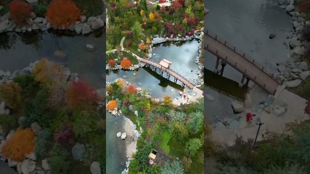 Японский сад в парке Галицкого г. Краснодар ??? смотреть онлайн