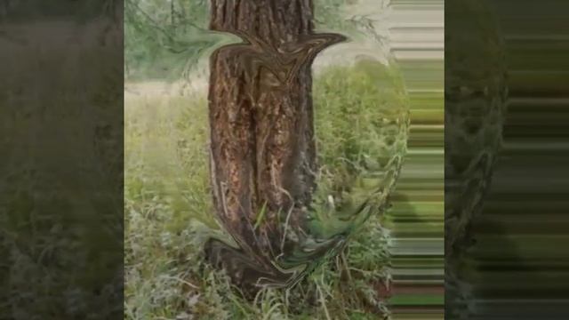 Алтайский песня смотреть онлайн