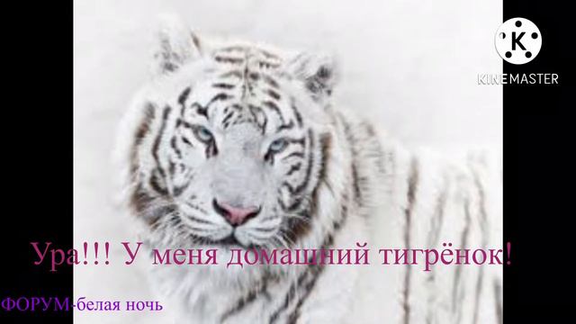 Ну почему это только во сне?| meme смотреть онлайн