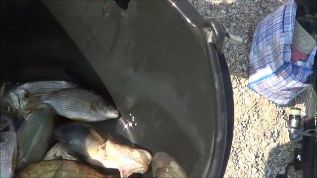 СОН РЫБАКА или когда сон не в руку смотреть онлайн