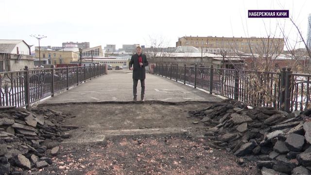 У Восточного входа «Столбов» бродячие собаки загрызли марала смотреть онлайн