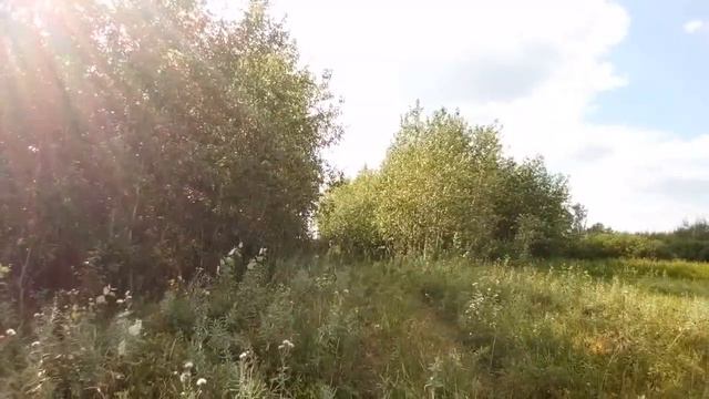 Прогулка по лугам смотреть онлайн