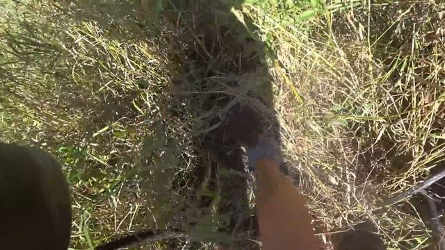 МЕДНЫЕ КАБАНЫ! РЕДУКТОРА! БОГАТЫЙ КОЛХОЗНЫЙ ДВОР У ЛЕСНОГО ОВРАГА! Коп металла смотреть онлайн