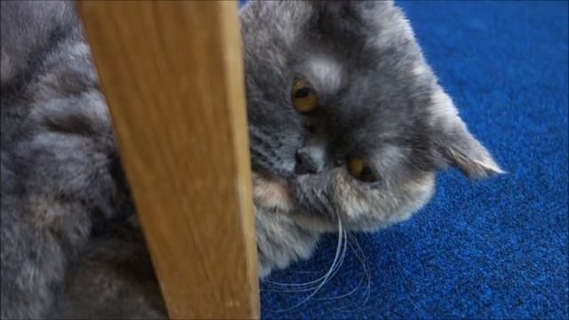 Компьютерные Игры и Летсплеи