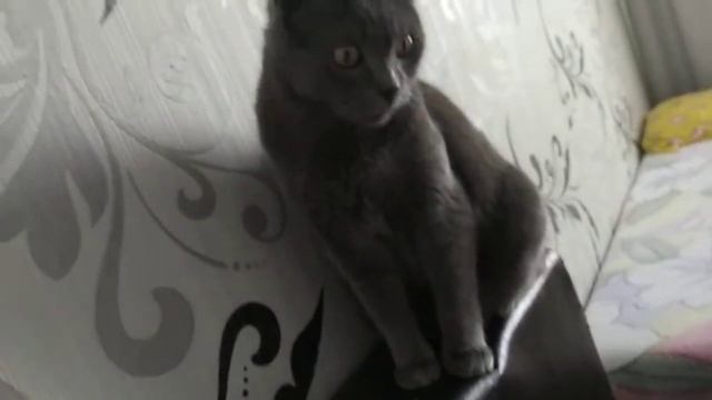 пудинг освежающий (ЭРМИГУРТ ШОКОЛАДНЫЙ)