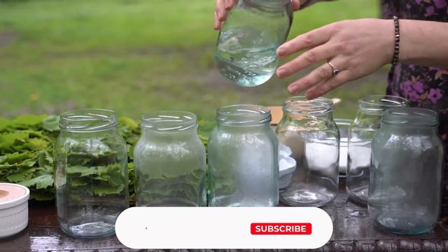 Vine Leaf Harvest and Storage in the Village - Recipe for stuffing with fresh vegetables смотреть онлайн