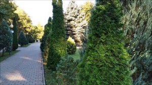 Плюсы и минусы отдыха в Горячем Ключе