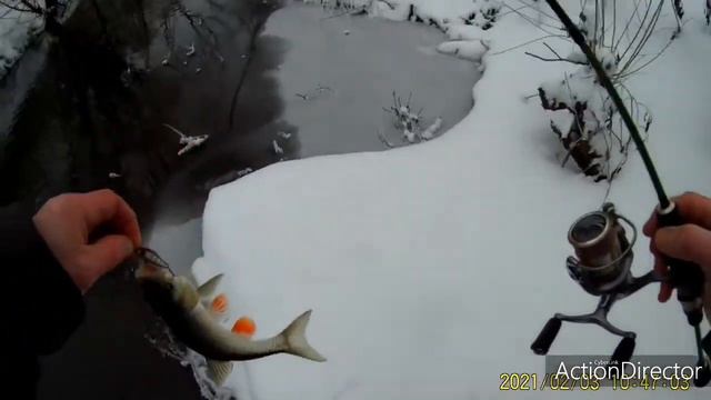 Первый февральский голавль на zipbaits rigge 35 f. смотреть онлайн