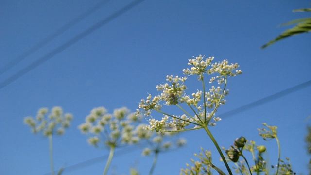 Там, в вышине бесконечной - песня о небе смотреть онлайн