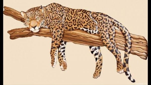 Интарсия/ intarsio