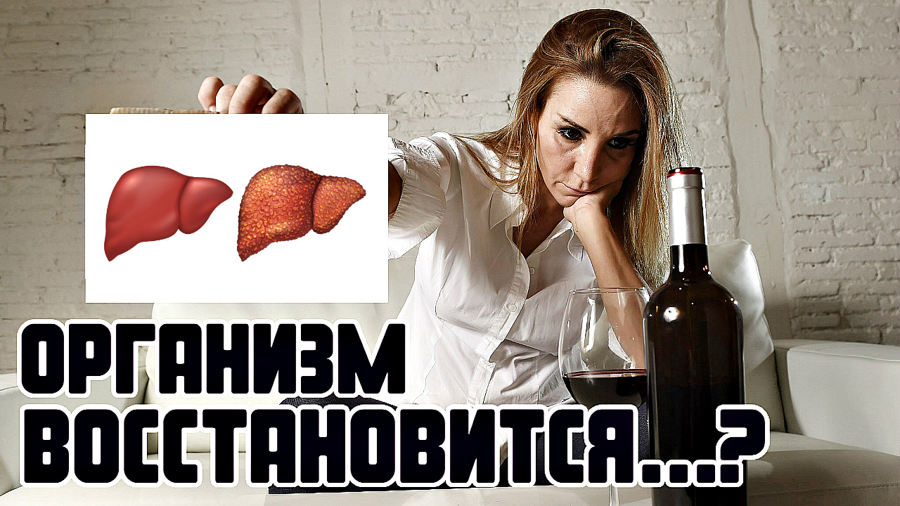 Через сколько организм полностью восстанавливается после алкоголя? смотреть онлайн