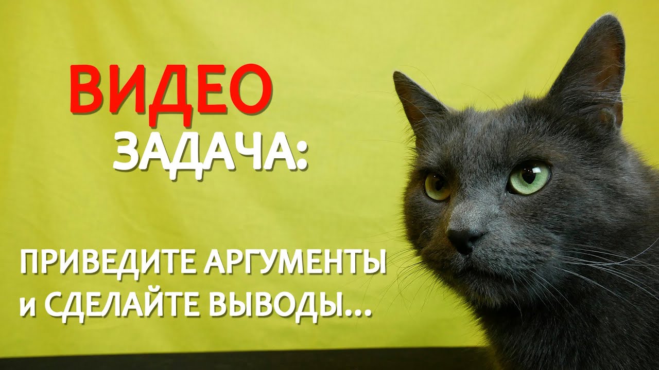 НАУЧНАЯ ВИДЕО-ЗАДАЧА ПРИВЕДИТЕ АРГУМЕНТЫ и СДЕЛАЙТЕ ВЫВОДЫ смотреть онлайн