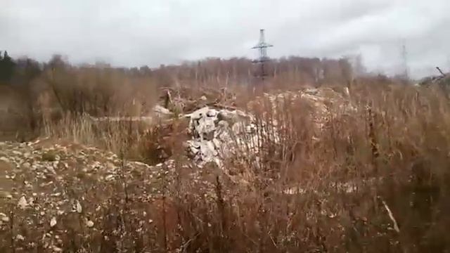 Свалка в районе Глухая, мкрн. Горушки г. Алексин 31-10-2013 смотреть онлайн