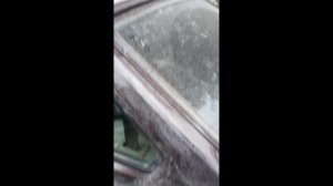 СУПЕР способ как отмыть с авто или стекла от краски