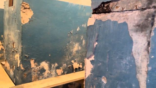 Смотрим укрытие смотреть онлайн