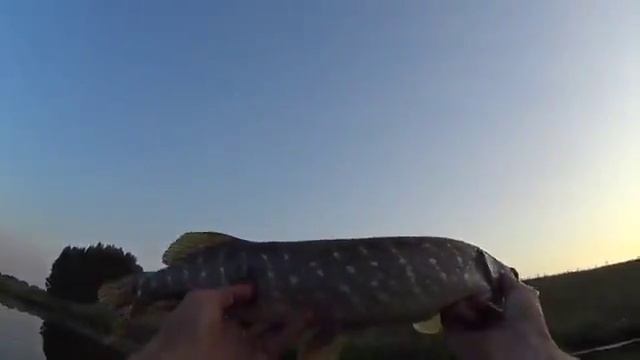 Начинающим по ловле щуки смотреть онлайн