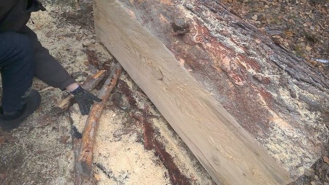 Распил бревна на доски бензопилой в лесу смотреть онлайн