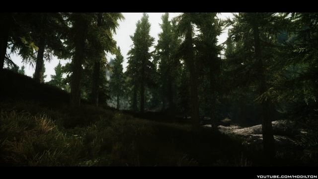 TES V - Skyrim Mods: Tamriel Reloaded Flora смотреть онлайн