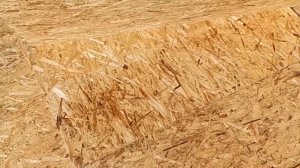 OSB после дождя
